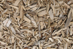 biomass boilers Plean