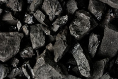 Plean coal boiler costs