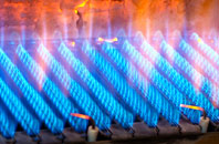 Plean gas fired boilers
